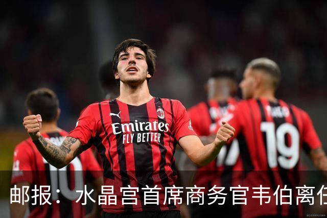 邮报：水晶宫首席商务官韦伯离任，将出任卢顿总经理